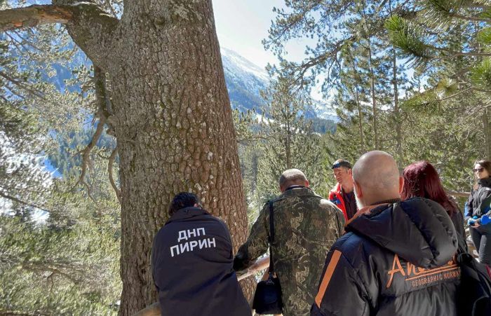 Байкушевата мура
