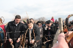 Боговете на виното зарязаха лозята в Струмяни
