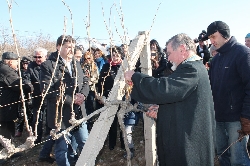 Празник на виното в Илинденци