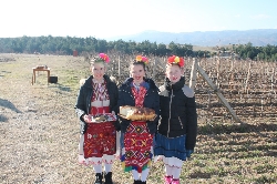 Празник на виното в Илинденци