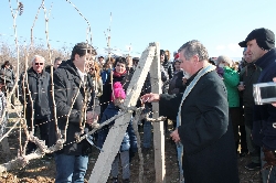 Празник на виното в Илинденци