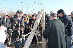 Празник на виното в Илинденци