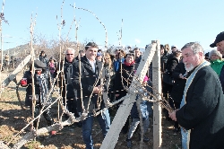 Празник на виното в Илинденци