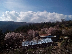 Пролетни импресии от долината на Влахинска река