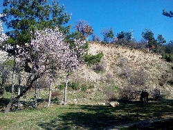 Пролетни импресии от долината на Влахинска река