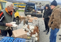 Невиждан бум в търсенето на кокошки в Пиринско