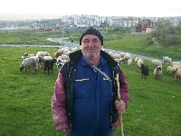 Бай Здравко Безински: Овчар се ражда, не се става