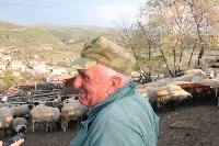 Бай Здравко Безински: Овчар се ражда, не се става