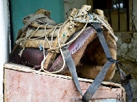 Самаритрофия