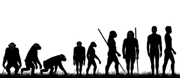 Homo sapiens се оказа на 300 000 години