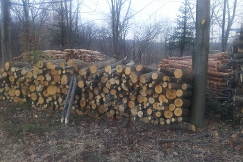 Уборка на улици и тротоари в Сатовча за старта на учебната година