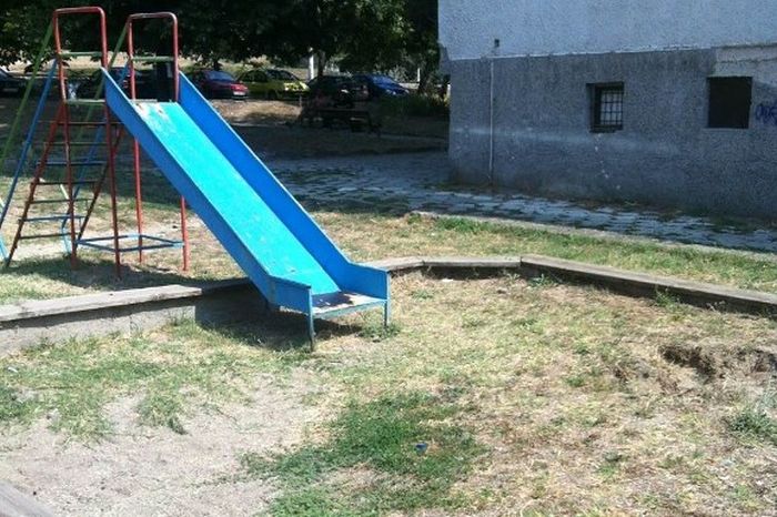 Снимки: Партия на зелените