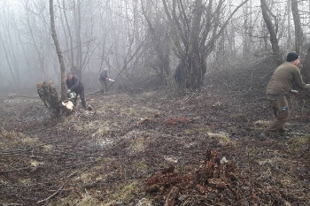 ЮЗДП обучава служители по горска педагогика