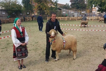 Фермер от село Краище шашна жури в Пловдив с красиви животни