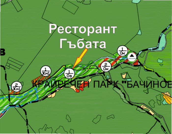 Партия на зелените против продажба на терен в парк Бачиново