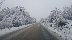 В Петричко наваля сняг, но пътищата са проходими при зимни условия