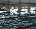 Благоевград посреща елитни родни и чужди клубове за Международен турнир по плуване