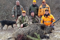 Ловци начело с кмета на Сатовча повалиха 7 глигана само за ден