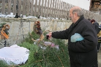 Вицепрезидентът и кметът на Гоце Делчев зарязват лозята в Делчево