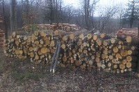 Кампания за снабдяване с дърва за огрев в Банско