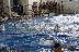 Връчиха купи и медали на талантливи плувци в Благоевград