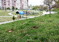 Превърнаха парк в Благоевград в дом за птици