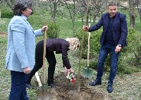 Адвокати засадиха 140 императорски дървета край Бачиново