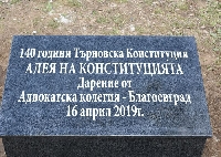 Адвокати засадиха 140 императорски дървета край Бачиново