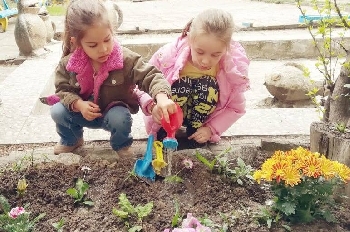 Деца, учители и родители обособиха цветни алеи в двора на ДГ №10