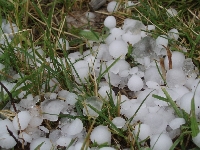 Ледена градушка унищожи овошките в Сатовчанско