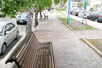 Садят дръвчета в Благоевград по идея на граждани