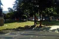 5 дръвчета са преместени заради ремонт на улица в Благоевград