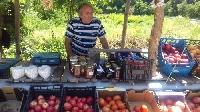 Най-вкусните розови домати - на ръка разстояние от пътя за Гърция
