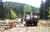 Два пъти повече дърва закупиха домакинства в Югозападна България