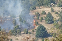 Горяха 4 къщи в с. Бистрица след пожар в сухи треви