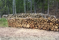 От 40 до 60 лв. за кубик широколистни дърва от склад в гората