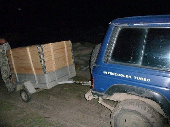 Установиха незаконна сеч на тополи край Петрич