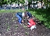Второкласници засадиха 100 фиданки в Банско