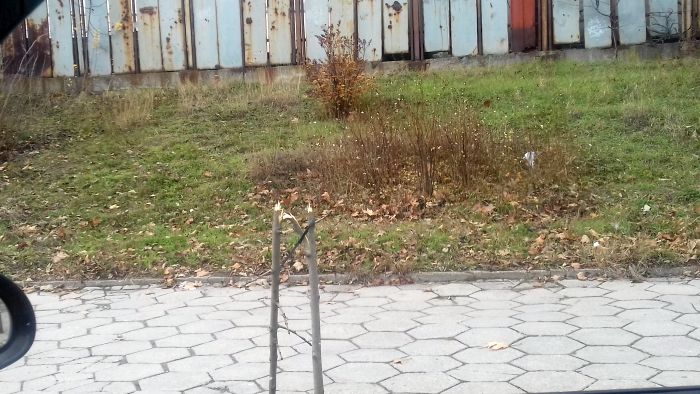 Снимка: ИлинденПрес