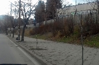 Вандали прекършиха млади дръвчета в квартал Еленово