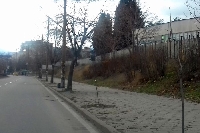 Вандали прекършиха млади дръвчета в квартал Еленово