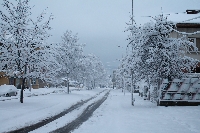 Десетки села в Пиринско без ток заради снега