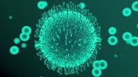 Първа жертва на коронавирус в Европа