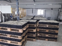 И в извънредно положение ЮЗДП работи с размах. Горски засяха 390 000 фиданки