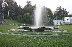 Фазани и пауни ще красят градския парк в Сандански
