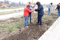 В Банско засадиха 400 фиданки, цялата дървесна растителност се картотекира