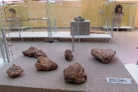 Находки на 8000 години водят туристи в музея на Струмяни