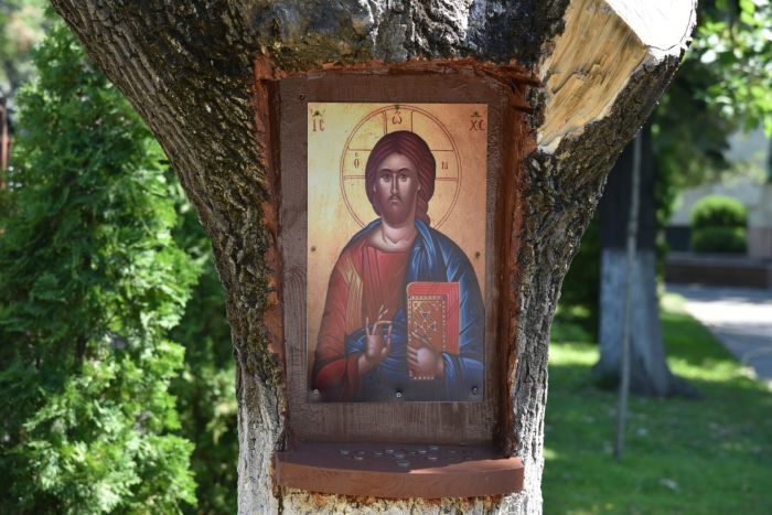 Снимки: Община Симитли