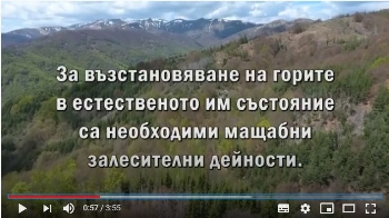 Видеоклип представя залесяването с модерни технологии в горите на ЮЗДП