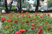 Слънчево време днес, но в Пиринско пак ще превали